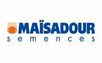 Семена подсолнечника Мас 96.П