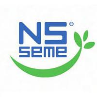 Семена подсолнечника Нови Сад (НСХ / NS Seme)