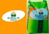 Семена кукурузы Евралис Семанс / euralis semences