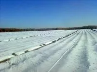 Агротекстиль промышленный 90-110 белого цвета