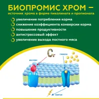 Биопромис Хром пиколинат птица