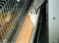Кормораздатчик высокоярусных клеточных батарей для птичников Факко