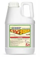 Акзифор, КЭ